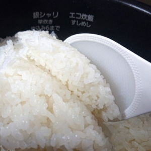 パナソニック 炊飯器 まずい