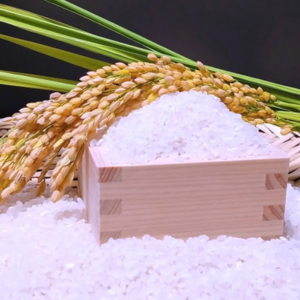 象印 炎舞炊き まずい